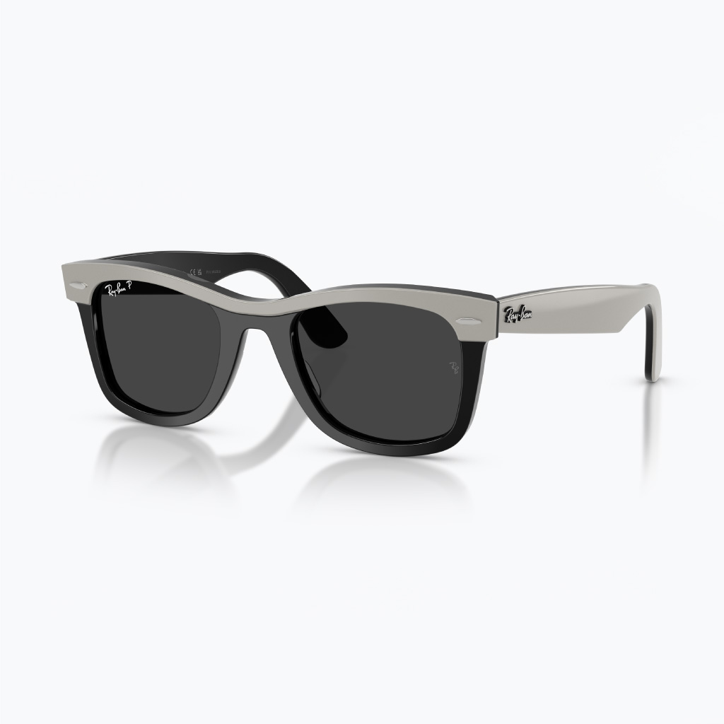 Kính mát RAYBAN 0RB2240F_14424852