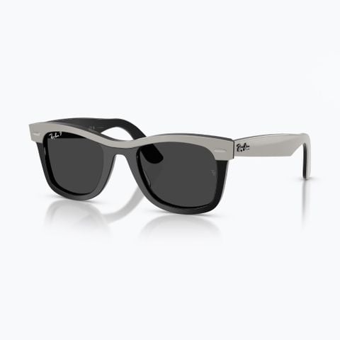 Kính mát RAYBAN 0RB2240F_14424852