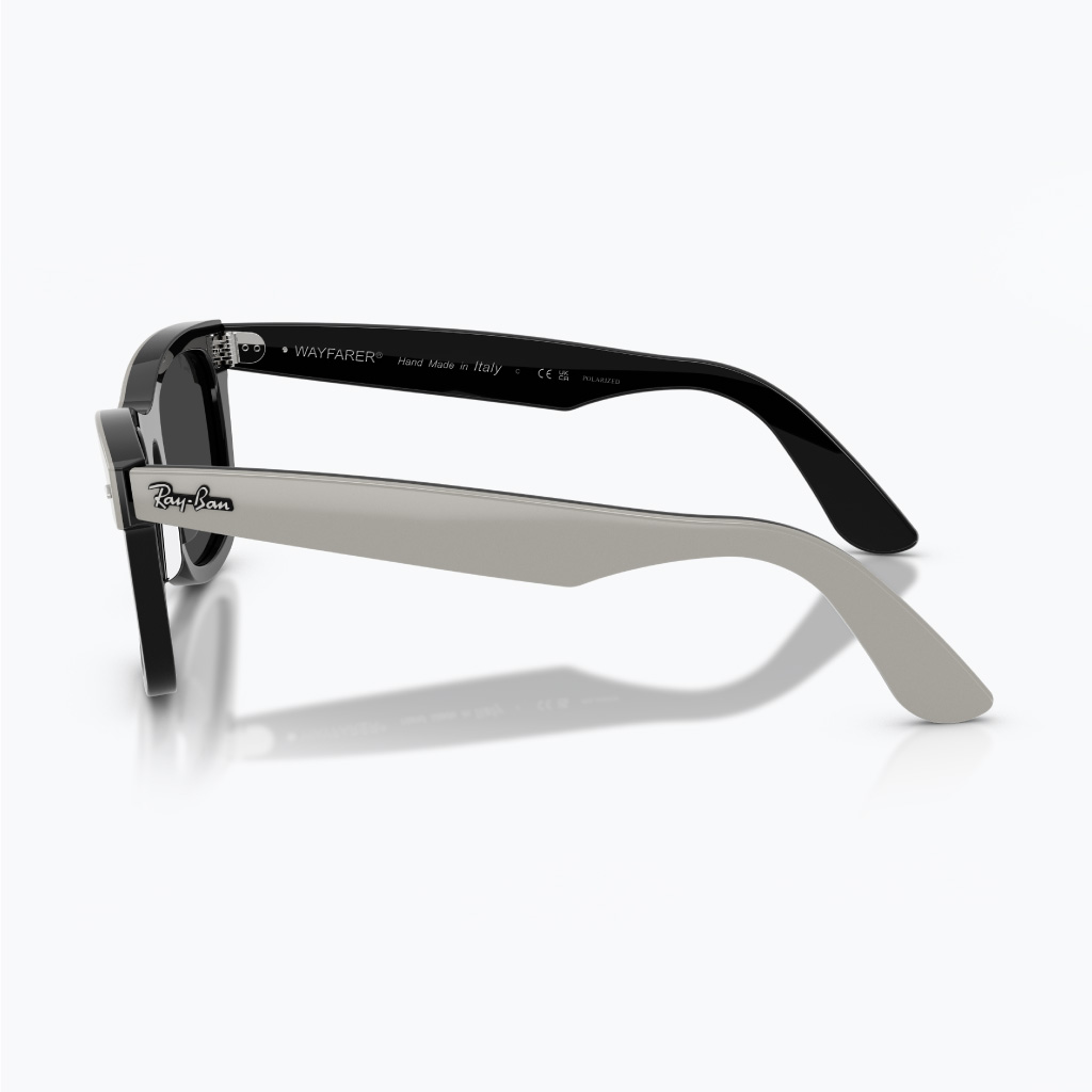 Kính mát RAYBAN 0RB2240F_14424852