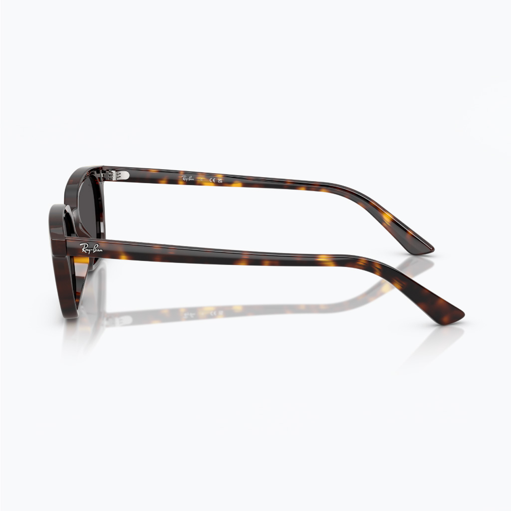 Kính mát RAYBAN 0RB4456F 13598752