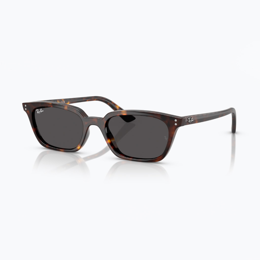 Kính mát RAYBAN 0RB4456F 13598752