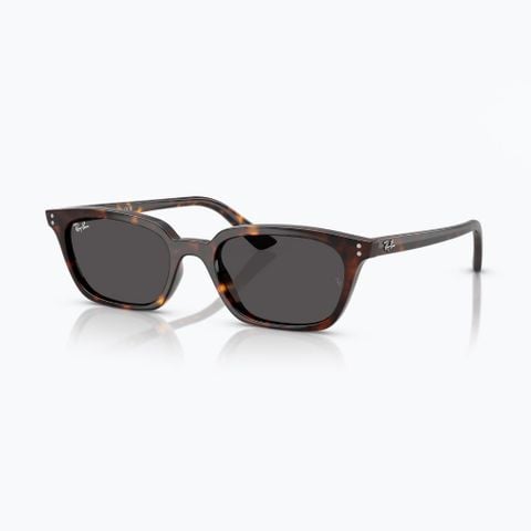 Kính mát RAYBAN 0RB4456F 13598752