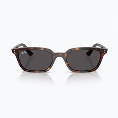 Kính mát RAYBAN 0RB4456F 13598752