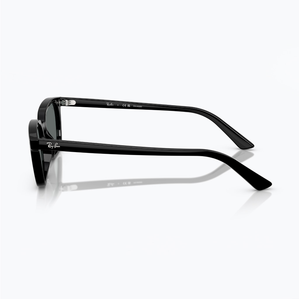 Kính mát RAYBAN 0RB4456F_66778152