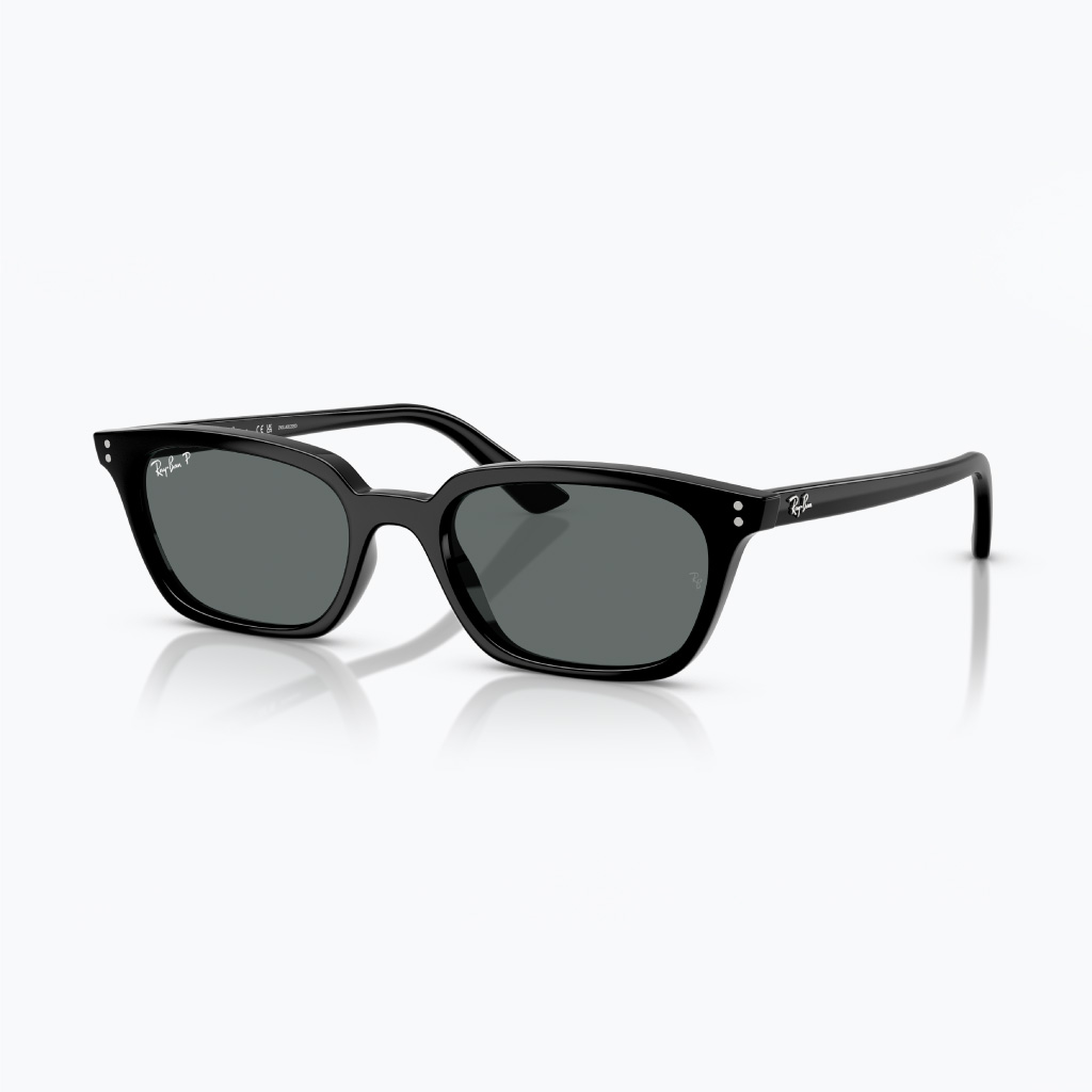 Kính mát RAYBAN 0RB4456F_66778152