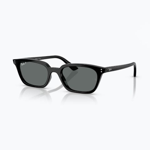 Kính mát RAYBAN 0RB4456F_66778152