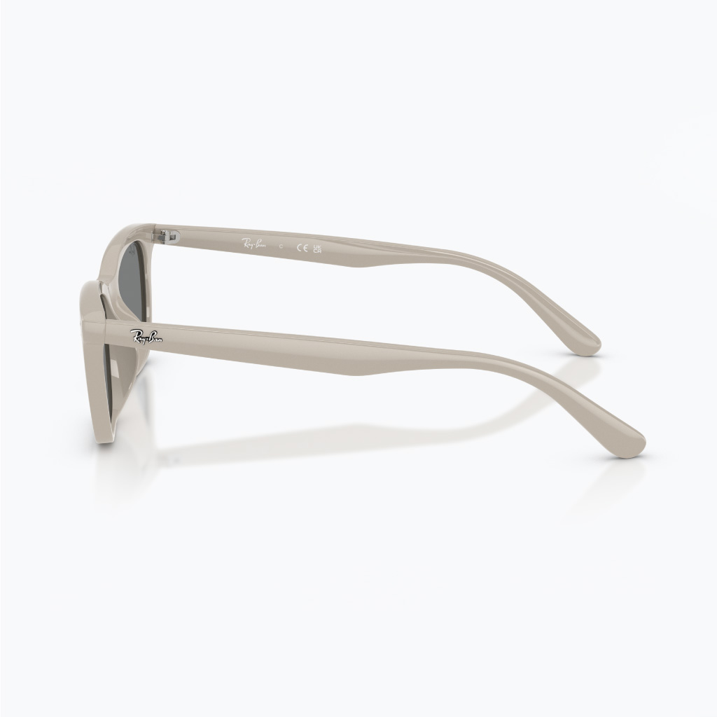 Kính mát RAYBAN 0RB4474D_68588754