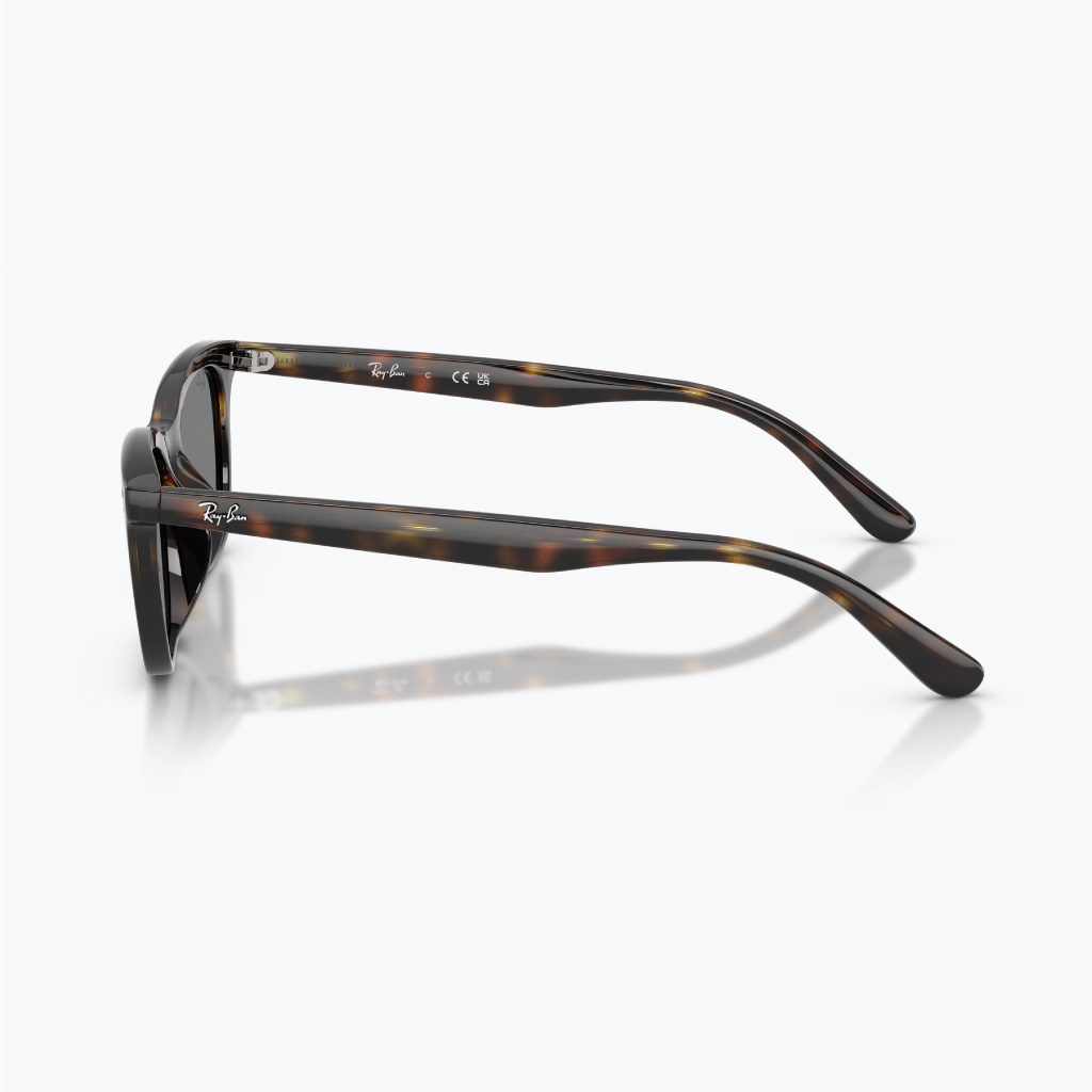 Kính mát RAYBAN 0RB4474D_710/8754