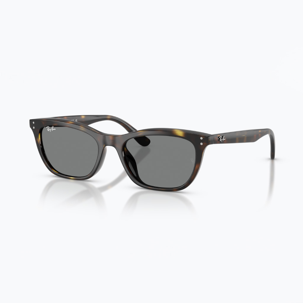 Kính mát RAYBAN 0RB4474D_710/8754