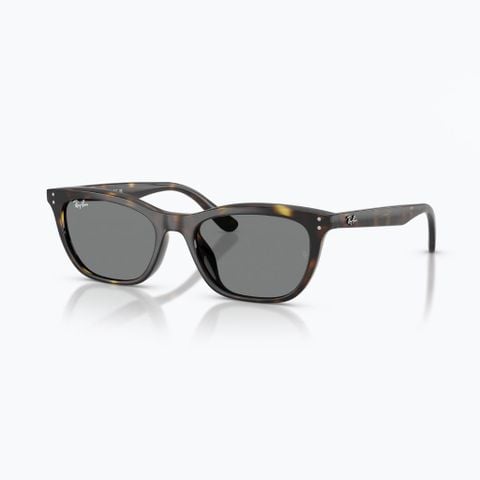 Kính mát RAYBAN 0RB4474D_710/8754