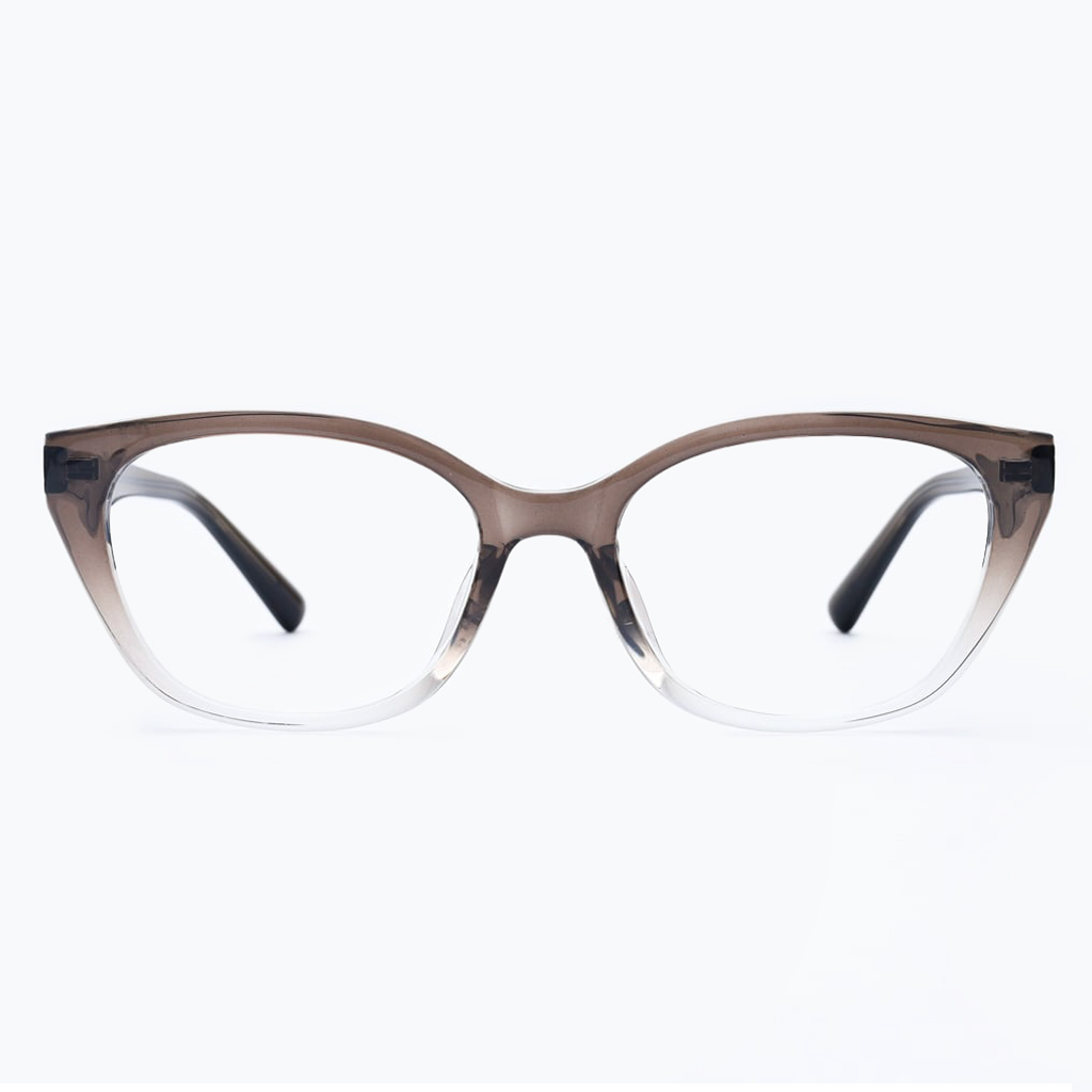 Gọng kính FLEXI 22901