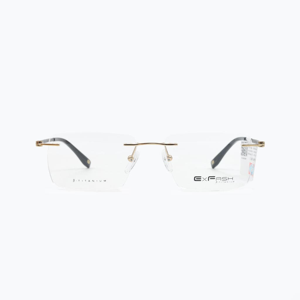 Gọng kính EXFASH EF34204T