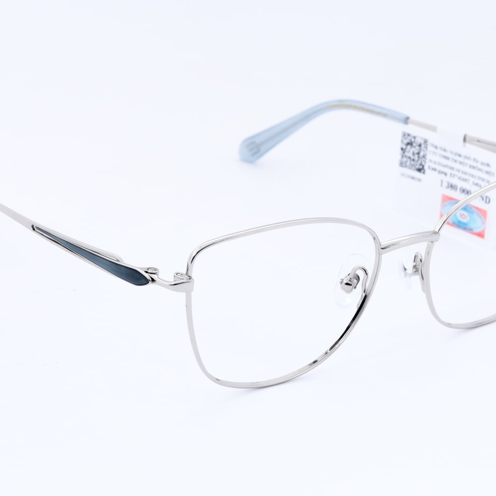 Gọng kính Exfash EF74269T