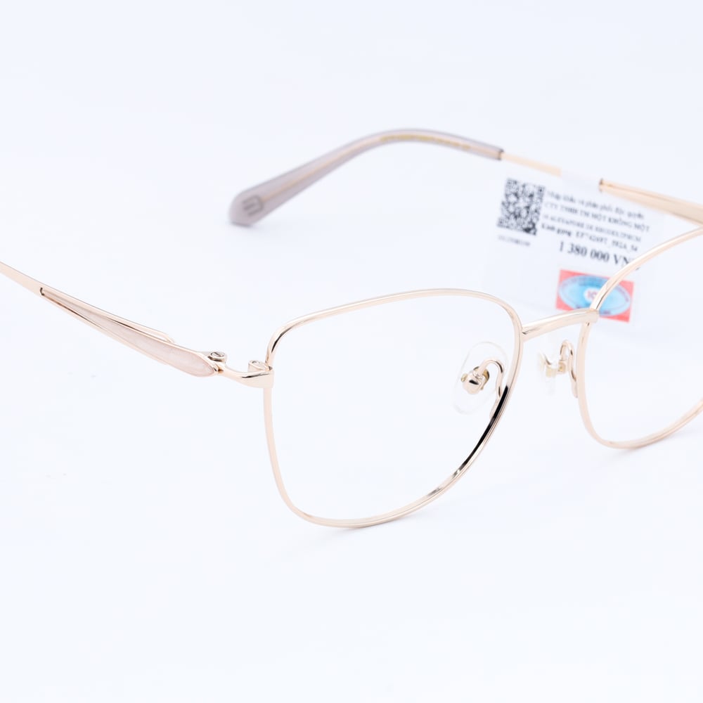 Gọng kính Exfash EF74269T