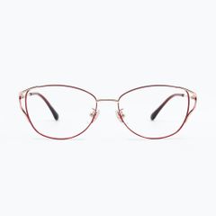 Gọng kính FLEXI FX5265-C1