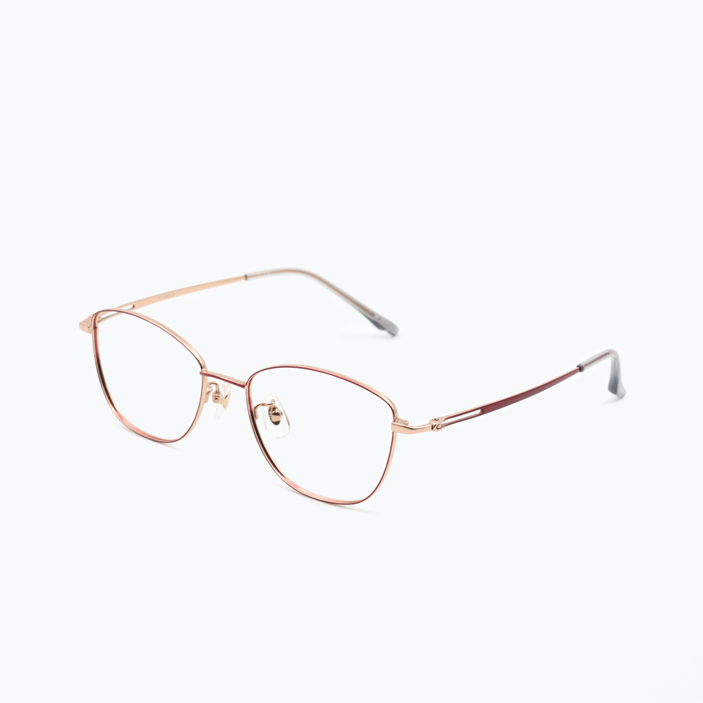 Gọng kính FLEXI FX5530