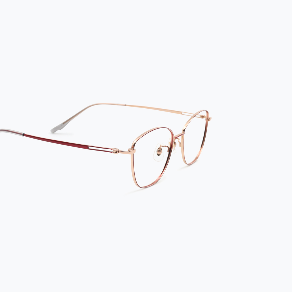 Gọng kính FLEXI FX5530