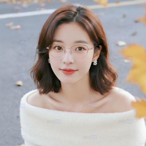 Gọng kính FLEXI FX5539