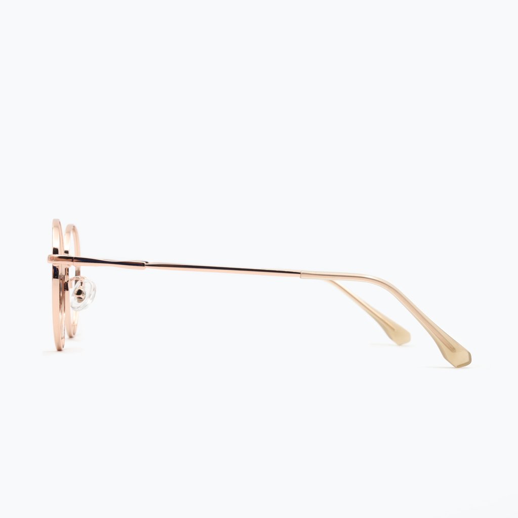 Gọng kính FLEXI FX5833M