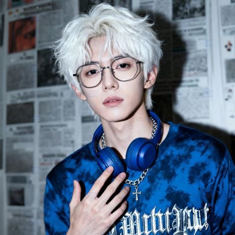 Gọng kính THE JIIA 6217