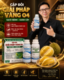  Giải Pháp Vàng 04 – Bộ Đôi Đặc Trị Thối Trái Sầu Riêng, Nứt Thân Xì Mủ, Nấm Phytophthora 