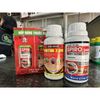  Thuốc trừ nhện Cặp đôi Spiro 240SC + Miktox 2.0EC – hộp 2 chai 240ml 