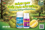  CYAZO CAP 40SC & PYRA CAP 25SC GIẢI PHÁP ĐÁNH BAY THỐI TRÁI 