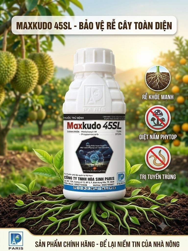  Thuốc trừ bệnh Maxkudo 45SL đặc trị thối rễ, xì mủ, Phytophthora 