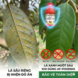  AF-PHOENIX 30SC -240ml | Thuốc Trừ Nhện Đỏ Dạng Sữa Mát Bông Sầu Riêng 