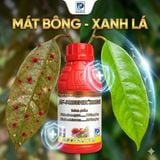  AF-PHOENIX 30SC -240ml | Thuốc Trừ Nhện Đỏ Dạng Sữa Mát Bông Sầu Riêng 