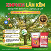  ZINPHOS LÂN KẼM - Siêu Lân Tạo Mầm Hoa Sầu Riêng Thế Hệ Mới 