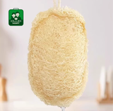  Miếng Rửa Bát Tự Nhiên Từ Xơ Mướp – Sạch Bóng, Không Hóa Chất 