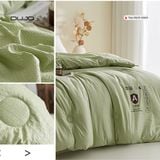  Chăn Xơ Đũi Đậu Nành – Mềm Mại & Thoáng Mát 