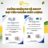  Hạt Macca Nứt Vỏ B - P500 