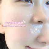 Xịt Khoáng Làm Dịu Da CNP Laboratory Vita B Ampoule Mist 50ml