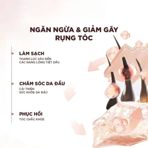 Dầu Gội và Dầu Xả LOréal Elseve Full Resist / Extraordinary Oil Smooth 400ml x 2