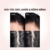 Dầu Gội và Dầu Xả L’Oréal Elseve Full Resist 400ml (Hồng)
