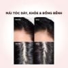 Dầu Gội và Dầu Xả L’Oréal Elseve Full Resist 400ml (Hồng)