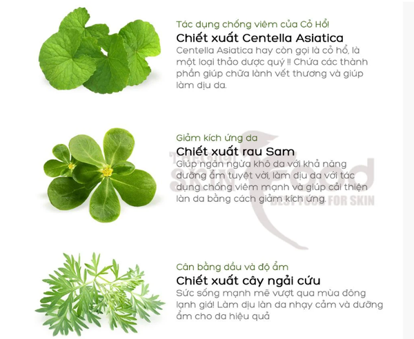 Serum Caryophy Portulaca Ampoule Giảm Mụn Mờ Thâm 30ML