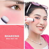  Má Hồng Dạng Kem Mịn Lì 2 Đầu Lemonade Perfect Couple Blush 8.5g 