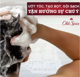  Dầu Gội Xả Old Spice 2IN1 Hương Nước Hoa 650ml 