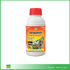 RAYSAURUOI ® 450ml