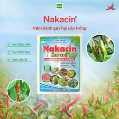 Nakacin ® 100gr