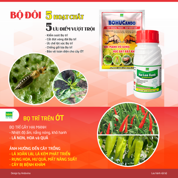 Combo 1 gói BoHucAndo 100g + 1 chai Hai Lúa Xanh 240ml