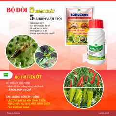 Combo 1 gói BoHucAndo 100g + 1 chai Hai Lúa Xanh 240ml