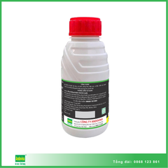 ClazzicoGold 450ml
