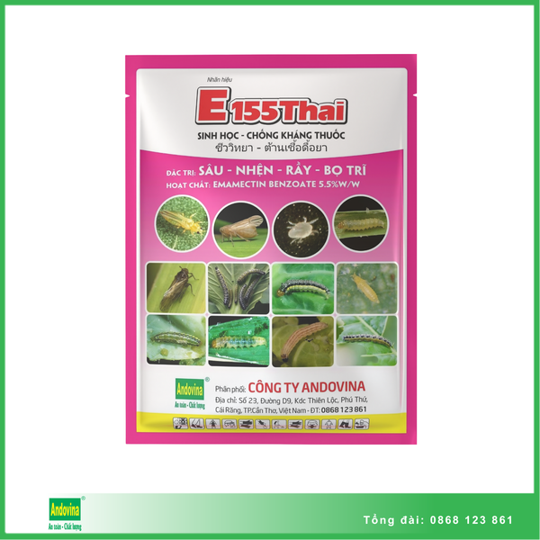 E155 Thái 55gr