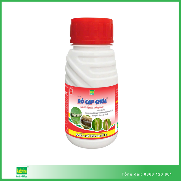 Bò cạp chúa ® 240ml