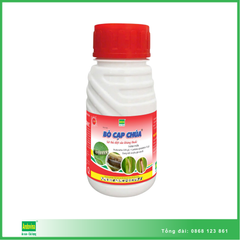 Bò cạp chúa ® 240ml