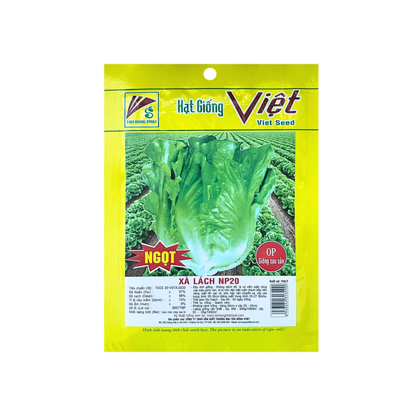 Hạt giống Xà Lách Ngọt Cao Sản NP20 1gr — Hạt giống Andovina